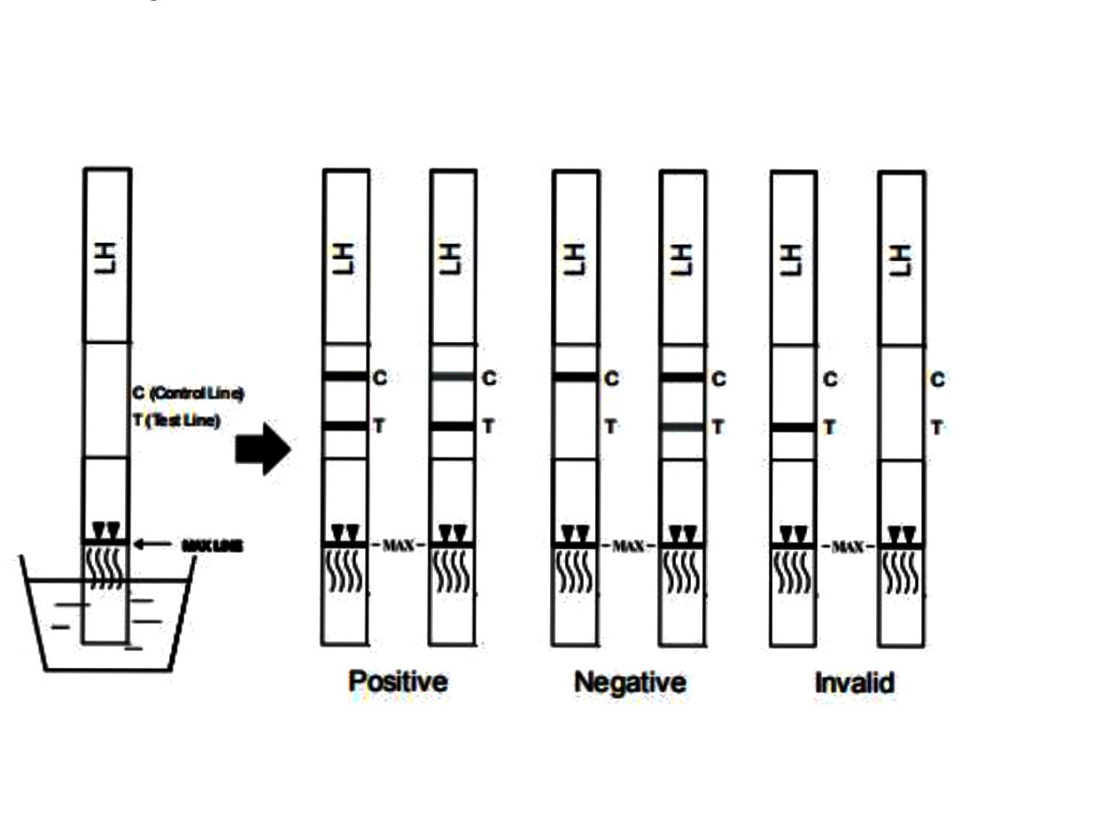 how-to-use-ovulation-test-strips-properly-access-diagnostics for Free Printable Ovulation Test Strip Chart How To Use Ovulation Test Strips Properly-Access Diagnostics for Free Printable Ovulation Test Strip Chart