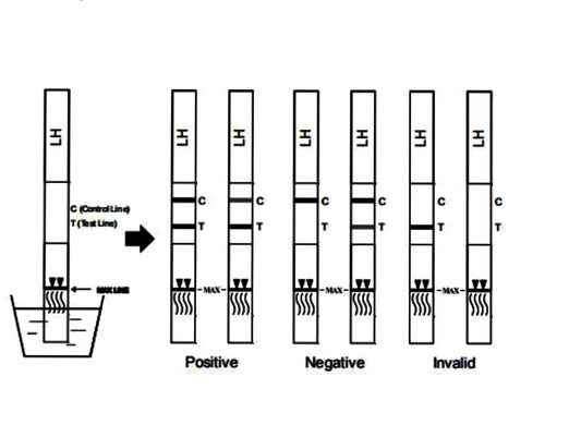 How to use ovulation test strips