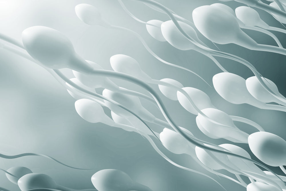 Preseed Lubricant | How Does Preseed Work | Access Diagnostics Preseed Lubricant | How Does Preseed Work | Access Diagnostics