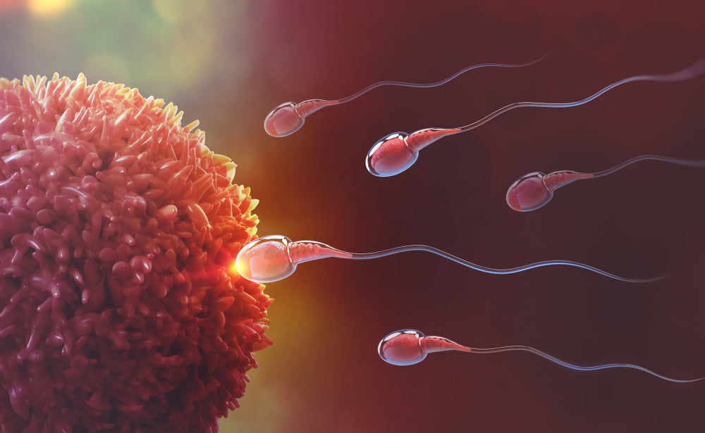 Preseed- how to use it effectively for pregnancy | AccessDiagnostics Access Diagnostics Preseed- how to use it effectively for pregnancy | AccessDiagnostics Access Diagnostics