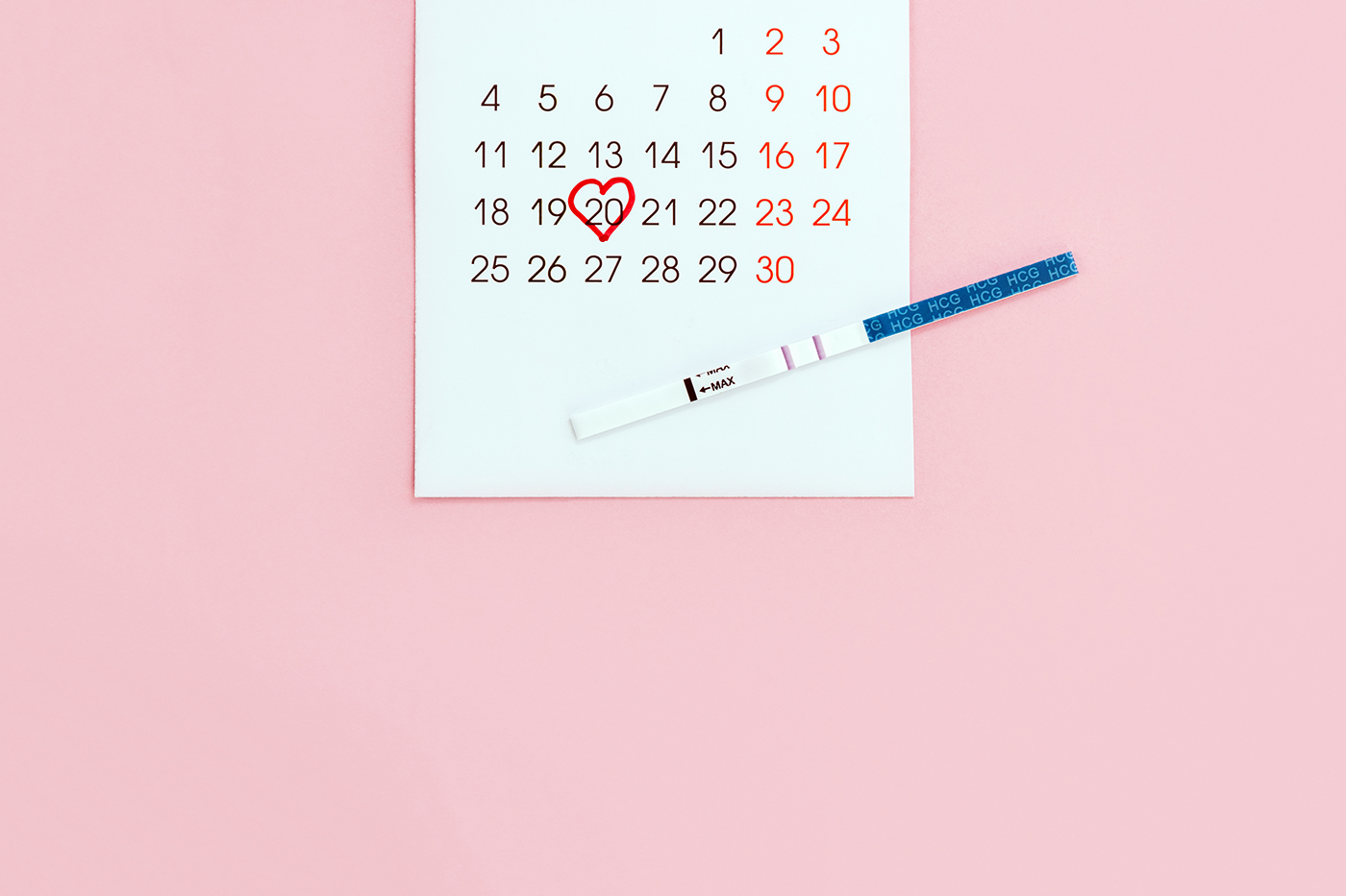 Fertility Ovulation Date