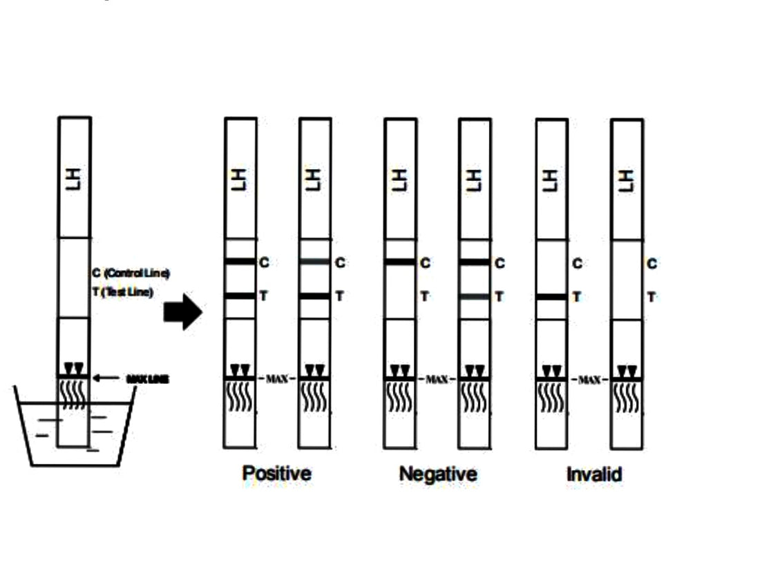 How to use ovulation test strips